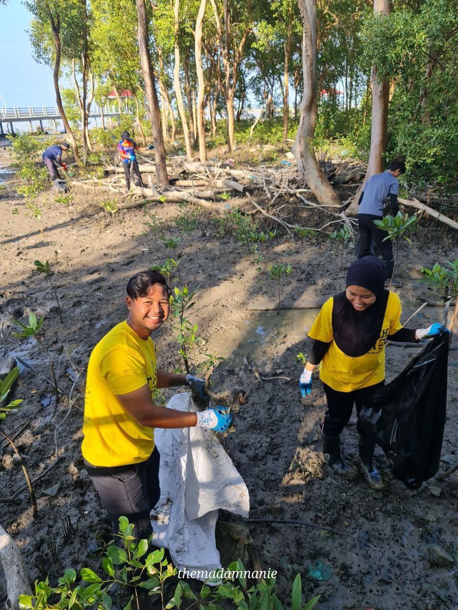 TrashHeroPerlis's tweet photo. #106 Trash Hero Perlis Cleanup @ Koma Laut, Kuala Perlis
11/3/2023 (Sabtu) seramai 60 orang termasuk 3 kanak-kanak berjaya mengutip sebanyak 585kg sampah + 2 tayar lori. HERO2 kali ini terdiri daripada 6 jabatan dari negeri Perlis  anjuran Jabatan Perhutanan Negeri Perlis. https://t.co/9mSaLHYQ0T