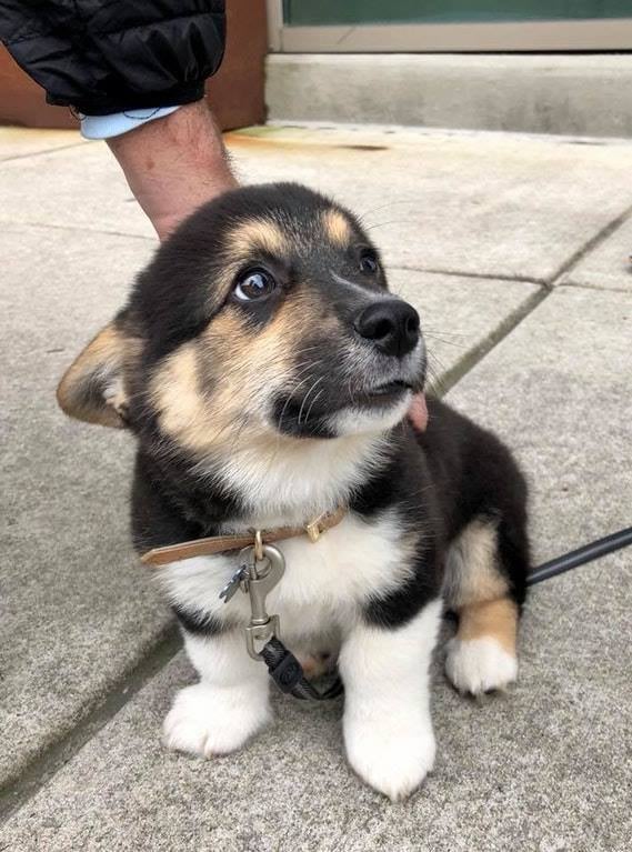 His name is the last thing you ate...