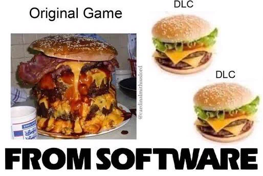 フロム(というかソウルシリーズ)の場合は広大なフィールドごと追加されるからこの画像な訳で、
基本的にモンスターが追加されるだけのモンハンは「ハンバーガーおかわり」じゃなくて普通に「中身の具だけ追加」のDLCタイプだと思うが…  