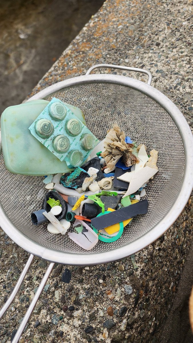 本日の活動報告（459回目）
豆腐川周辺で息子と一緒に回収
まちのコイン「アキコ」でいつも応援ありがとうございます
#マイクロプラスチック #microplastics #海と日本 #鎌倉 #材木座 #ビーチクリーン #SDGs 　#5379 #bikazaidan