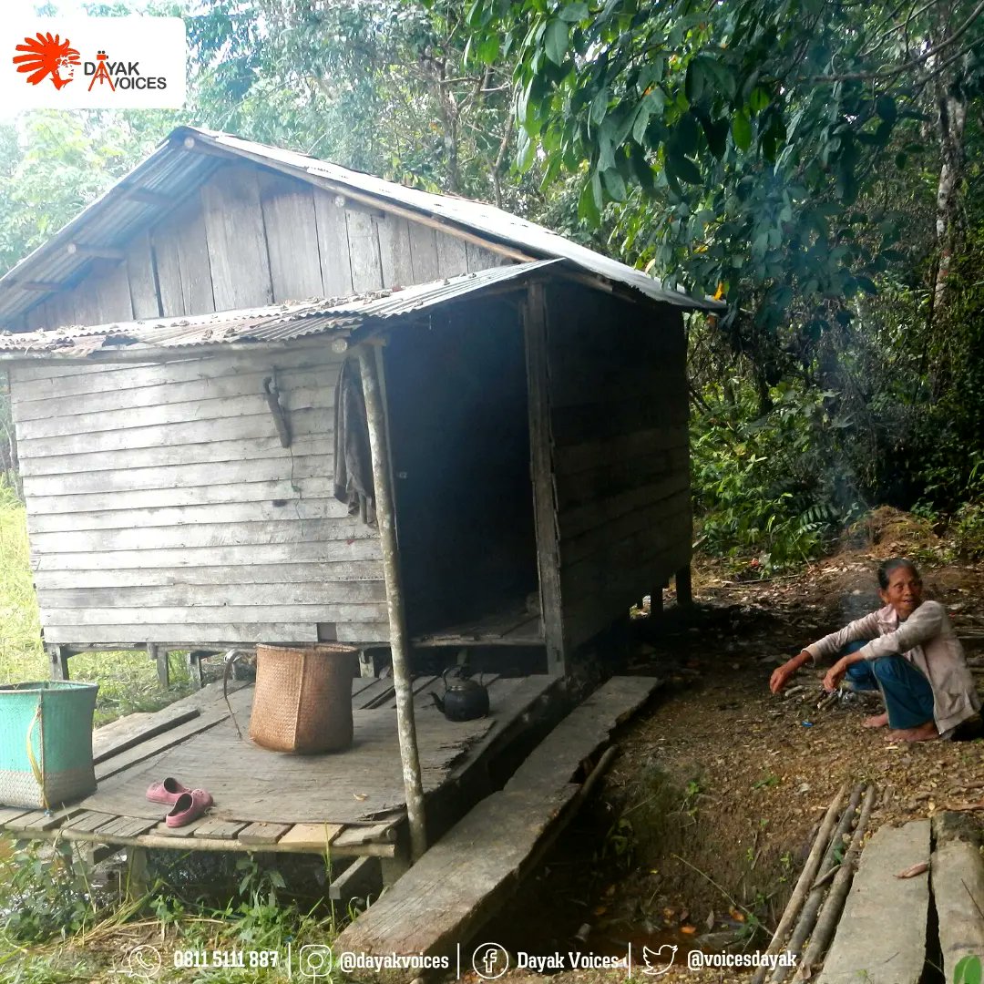 VoicesDayak's tweet photo. Pasah Tana
Postingan Lengkap
https://t.co/eWt3iTUv2X
#dayakvoices #jpickalimantan #dayakbercerita #indonesia #kalimantan #dayak #borneo #tiwah #sungaikalimantan #palangkaraya #kalimantantengah #pasah https://t.co/U3yvlyxSX0