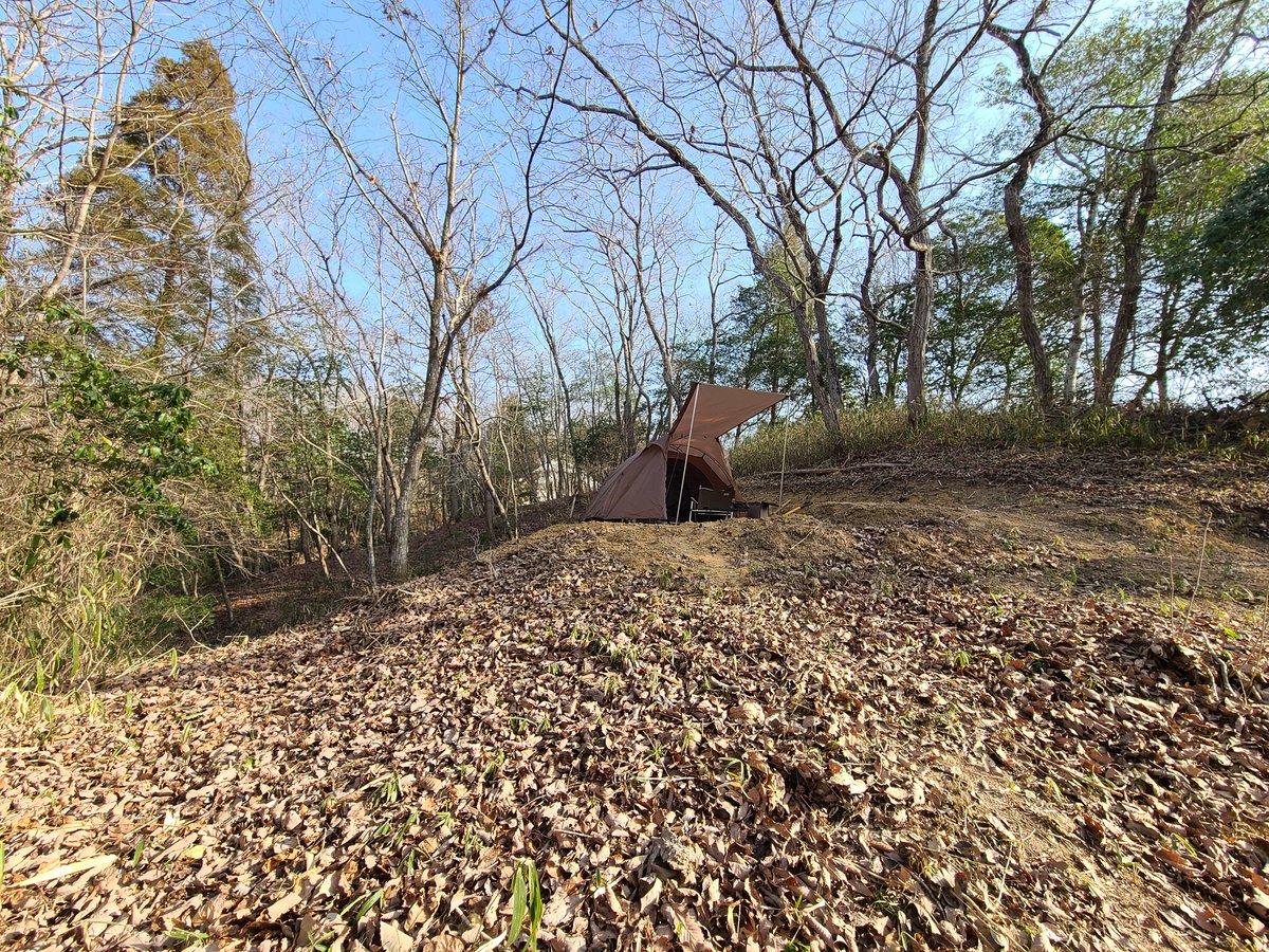 秘密基地にて見つけた春の便り。
ふきのとうと思われますが、
ハシリドコロでは無いことを祈ります(｡-人-｡)