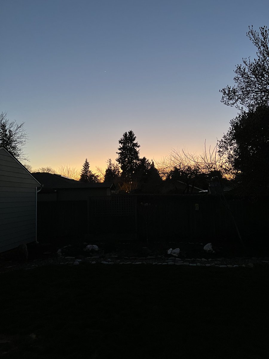 ginsengsully's tweet photo. First nice day in what feels like forever! #eugeneoregon. #springhereyet #turtles https://t.co/2NsDH37DNZ