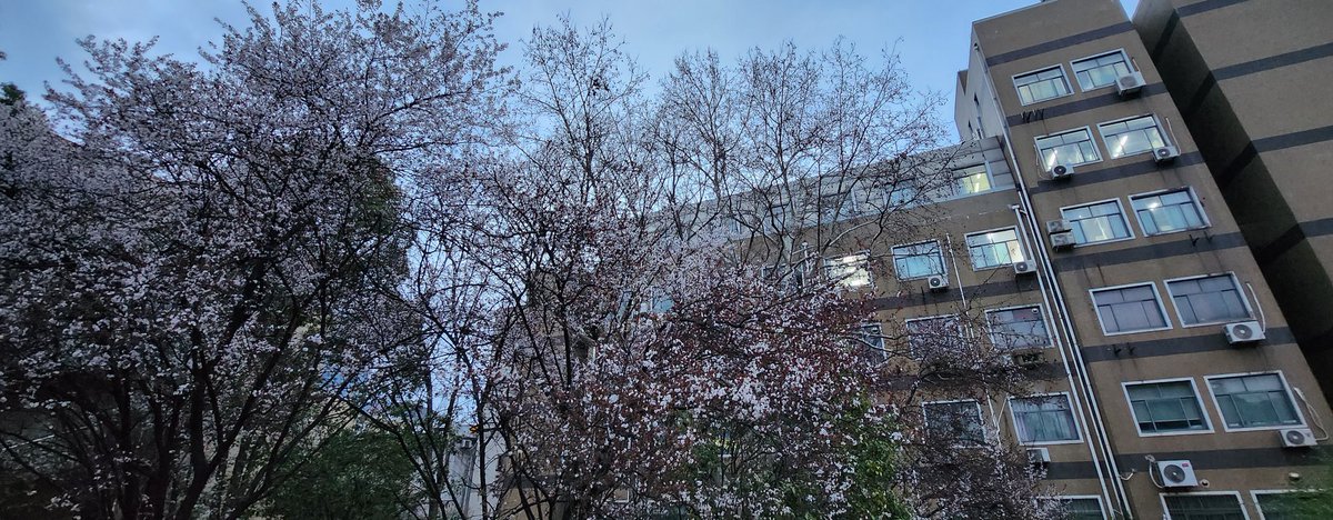 这座城市，也充满年轻。