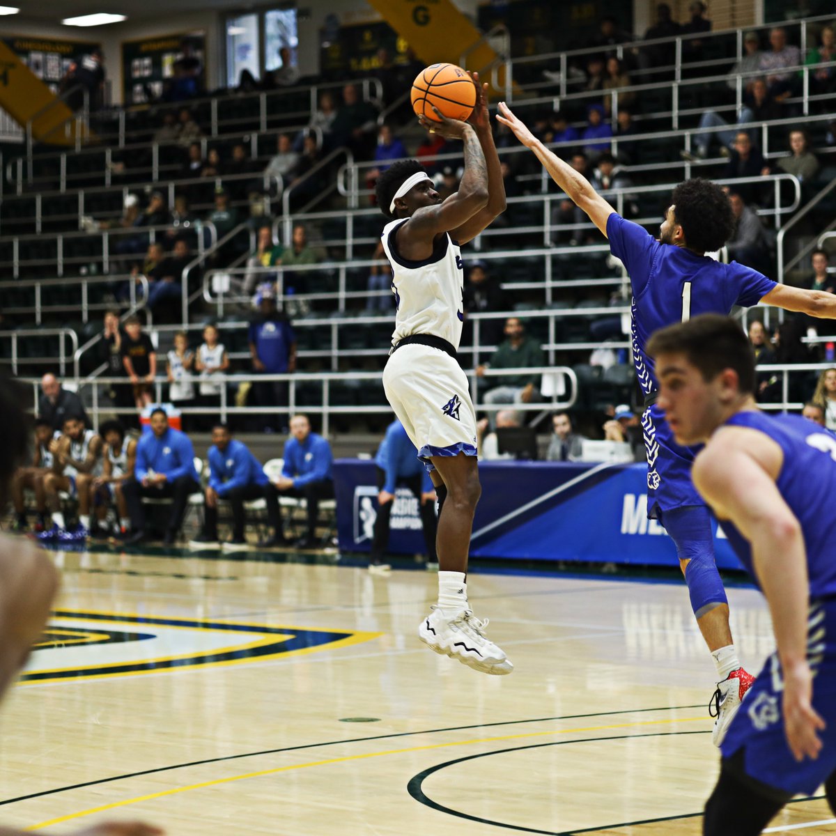 csusbathletics's tweet photo. WINNINGEST TEAM IN PROGRAM HISTORY! 

With their West Region Semifinal win over Cal State San Marcos, the 2022-23 Yotes become the winningest team in program history with 29! 👏🏀

#10TEAMSONEPACK #ChampionPerformance https://t.co/dRjxpG5uEp