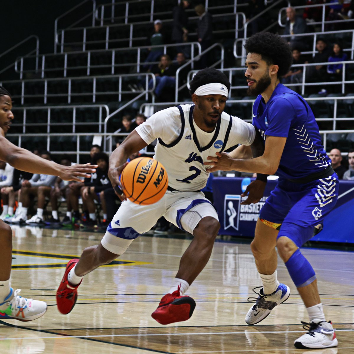 csusbathletics's tweet photo. WINNINGEST TEAM IN PROGRAM HISTORY! 

With their West Region Semifinal win over Cal State San Marcos, the 2022-23 Yotes become the winningest team in program history with 29! 👏🏀

#10TEAMSONEPACK #ChampionPerformance https://t.co/dRjxpG5uEp