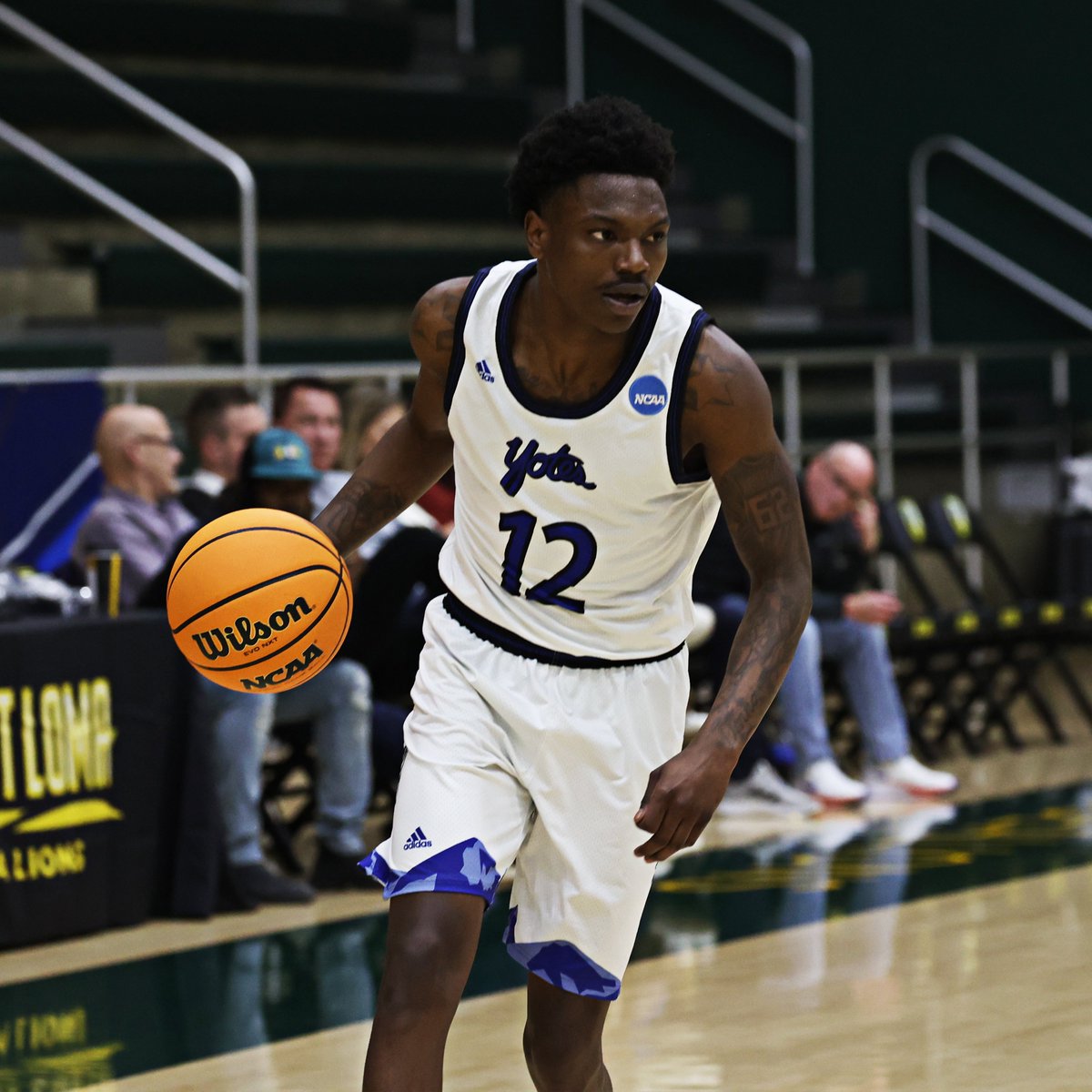 csusbathletics's tweet photo. WINNINGEST TEAM IN PROGRAM HISTORY! 

With their West Region Semifinal win over Cal State San Marcos, the 2022-23 Yotes become the winningest team in program history with 29! 👏🏀

#10TEAMSONEPACK #ChampionPerformance https://t.co/dRjxpG5uEp