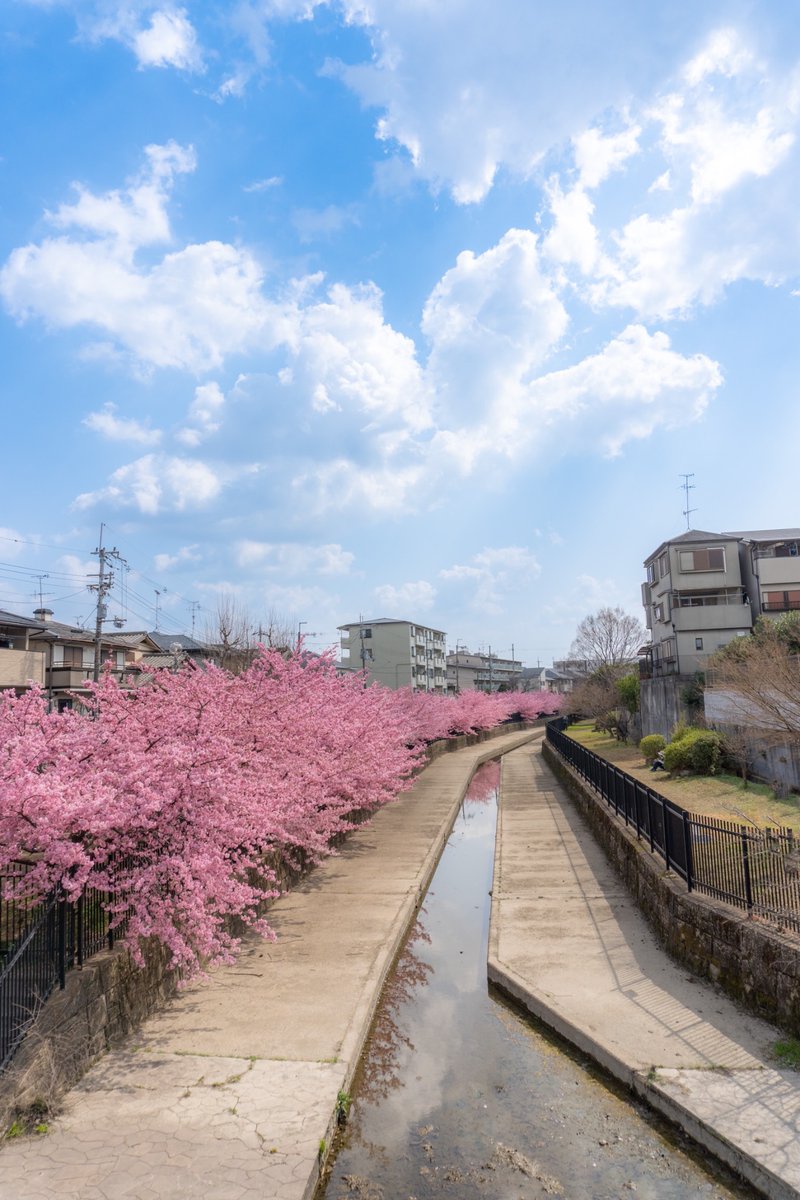 今年も会えて嬉しいよ。