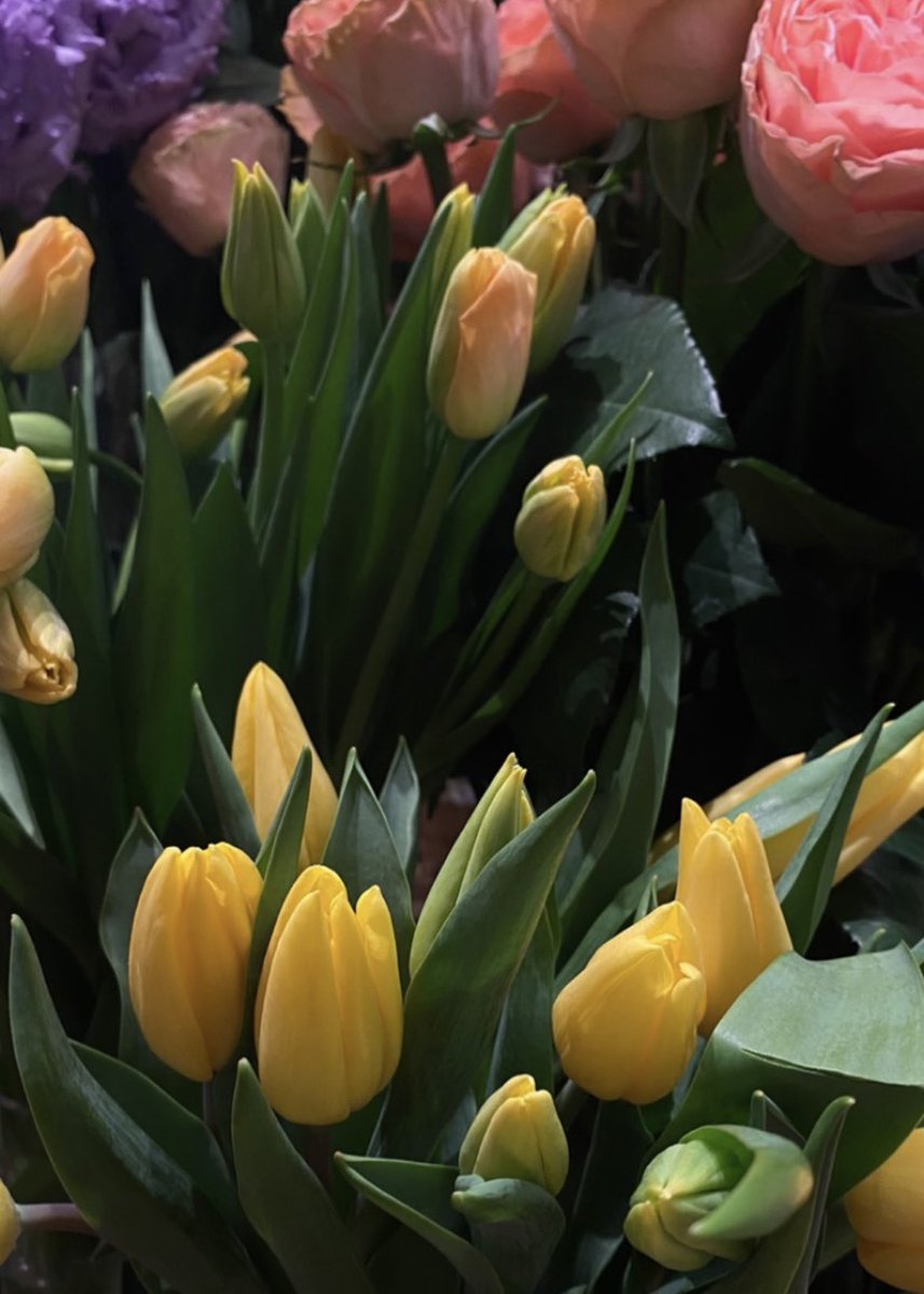 お祝い事にもらえるお花は嬉しい💐。