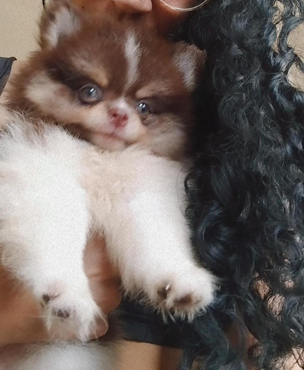 Uma das minhas princesinhas mais desejadas 🤍💛 https://t.co/5y8lpAEtUN