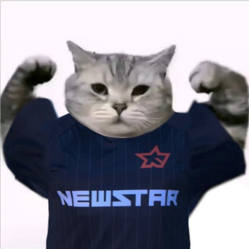 Newstar ✨ tweet media