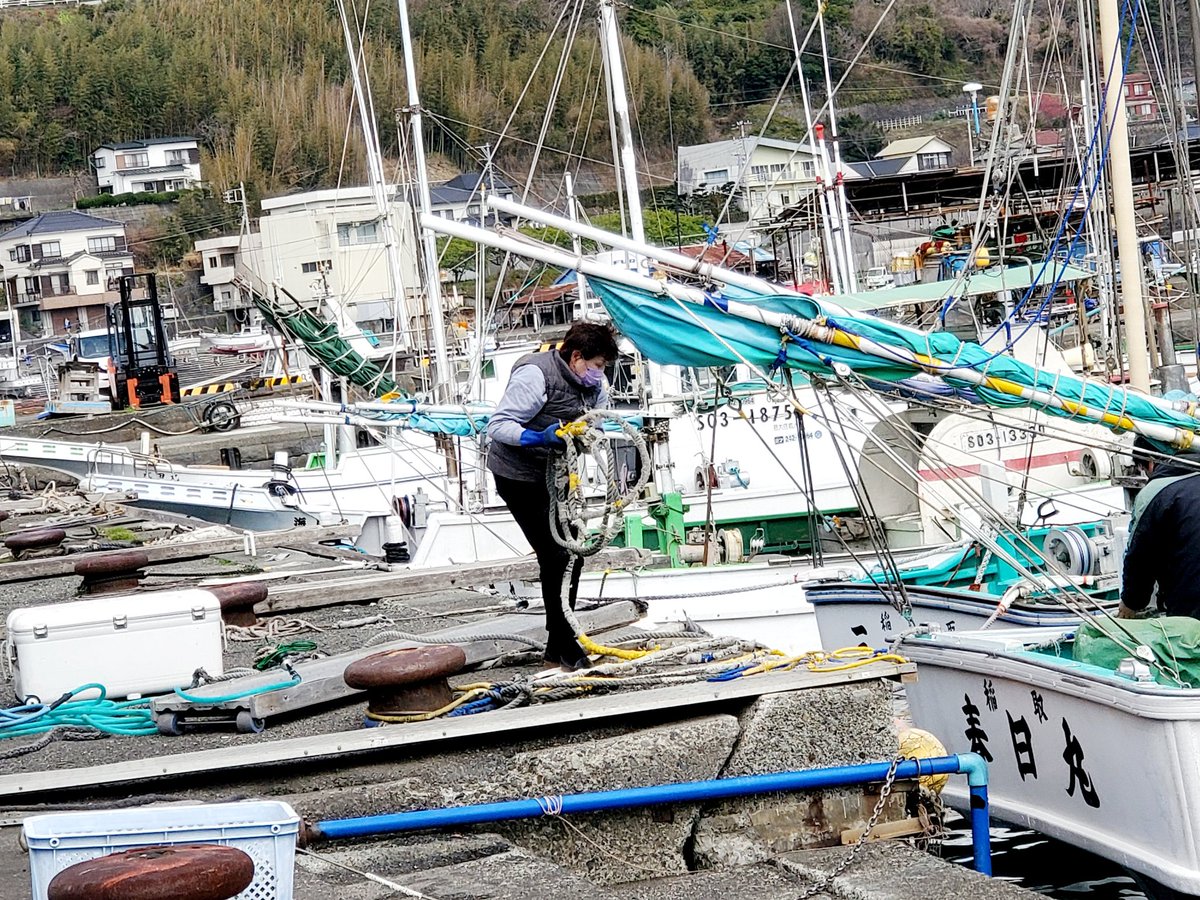 Yinji_Li's tweet photo. Women in fisheries
女性と漁業
#SDG14b #SSF #SDG5 #女性 #ジェンダー #women #gender
#splendidalfonsino #Kinmefish
#稲取キンメ #水産物ブランド #Inatorikinme #fishbrand #Inatori
#fishlanding #familyrun #家族経営 #小規模漁業 #稲取 #東伊豆 https://t.co/veamYKPMsQ