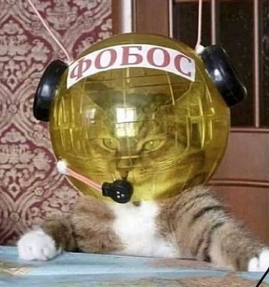 Fq_an75WAAEtJg2?format=jpg&name=medium