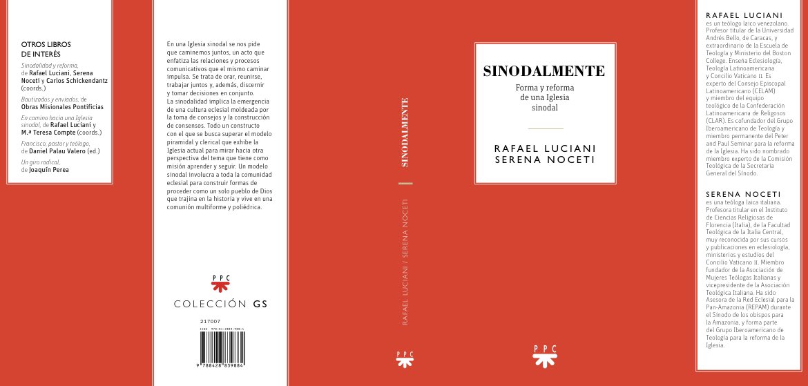 Libro sinodalidad