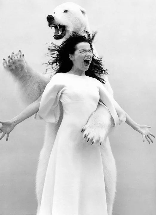 Ramin Nasibov tweet media