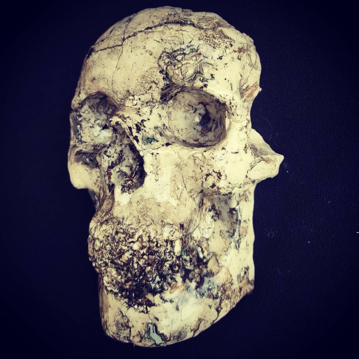 krushskulls's tweet photo. No plastics, no epoxy, no paint, etc...
Organic (for real) 
Trying to replicate raw "White Buffalo Turquoise"

#skulls #skull #skeleton #oddity #macabre #art #handmade  #oneofakind #scagliola #scagliola #unique #decordesign https://t.co/3L2i0EY7I0