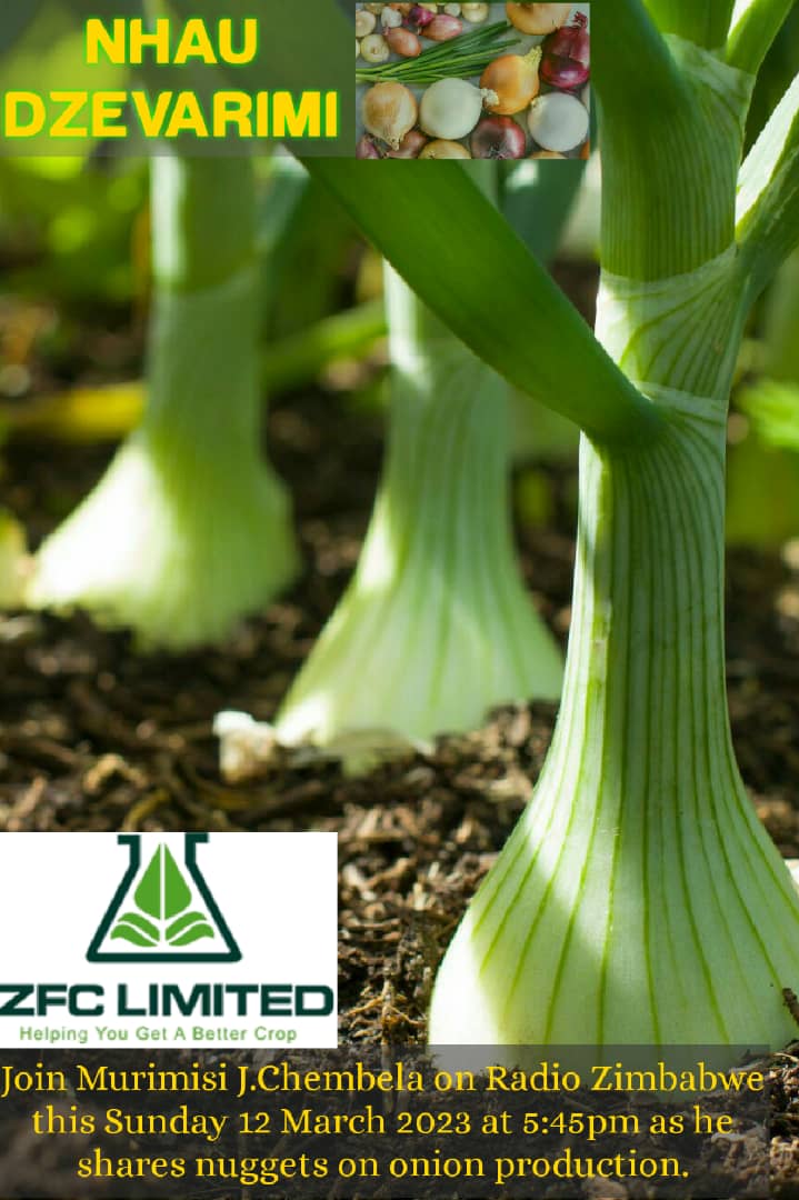 Onion season preparedness, make a date with us this evening 
#HelpingYouGetaBetterCrop