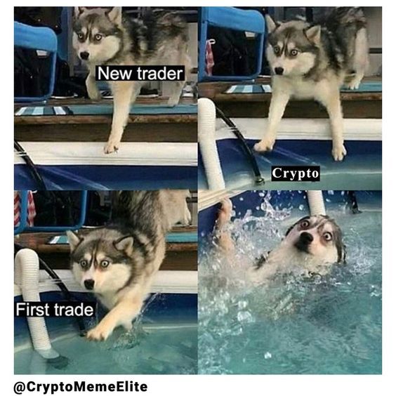 Pawan Jay Shine tweet media