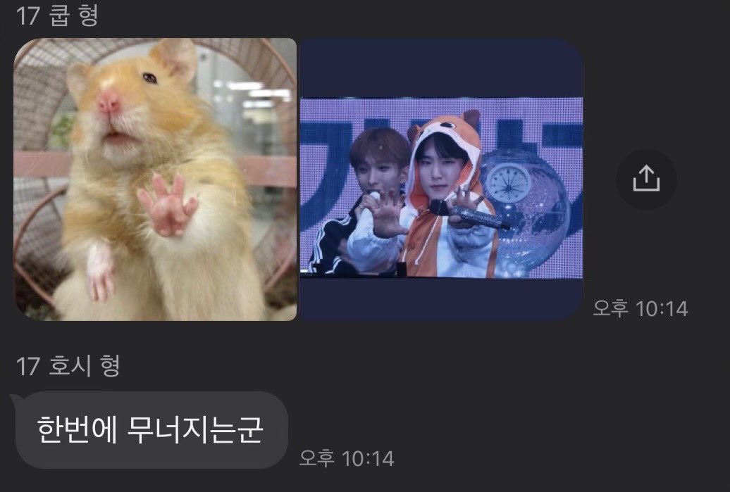 blue615_'s tweet photo. 대한민국의 마지막 햄..랑이!!🙄
그동안 쌓아 온 호랑이가 어제 와르르맨션된 거 너무 웃기고 귀여웠엌ㅋㅋㅋㅋㅋㅋㅋㅋ https://t.co/g0Jti7hCA6