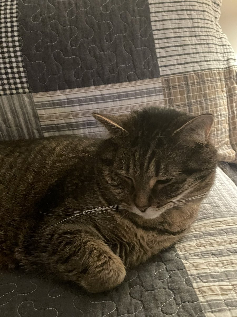 wyattaustin's tweet photo. When your favorite channel is “off” https://t.co/b5V0X4GCvj