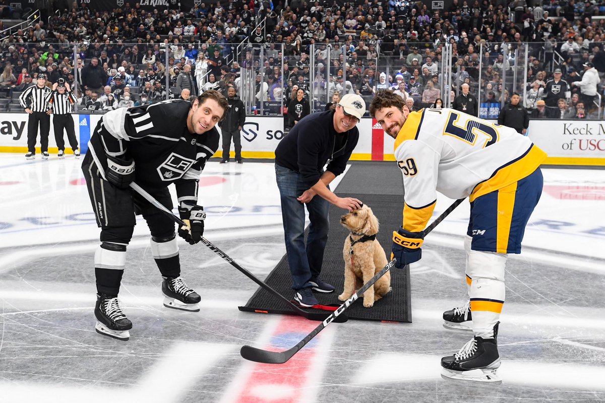 PredsNHL's tweet photo. deceased, cause of death: https://t.co/G3tExsWG6i
