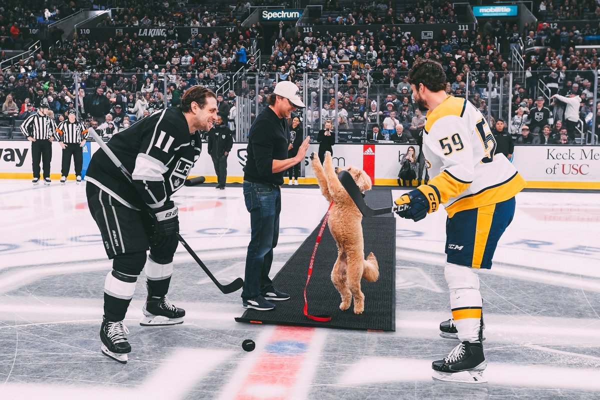 Pawfect work, Gustl🥺

@ZippyPaws | #GoKingsGo