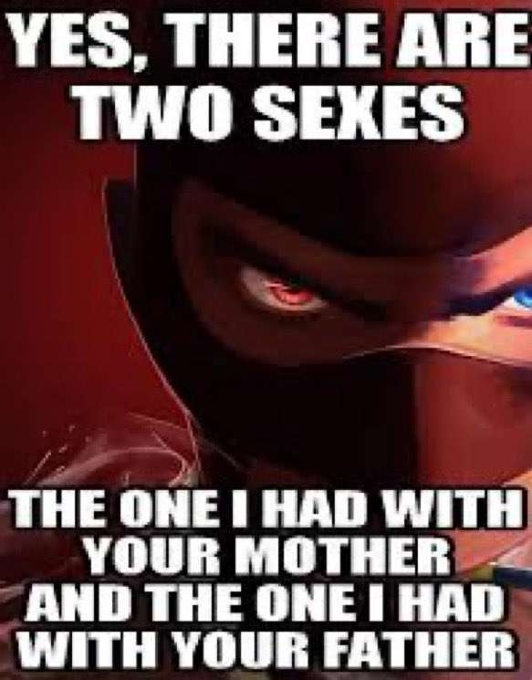 TF2__Network's tweet image. 