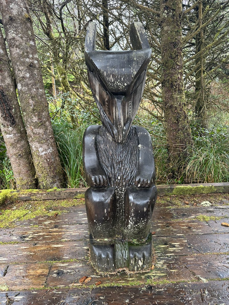 Napew's tweet photo. Love the Island @Ucluelet and @tofino have been amazing. #miyopimâtisiwin https://t.co/KEOcQPWsuv