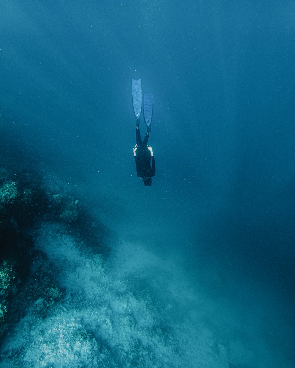 The deep blue is an invitation for curious minds to come and explore it. Discover the beauty of the Maldives’ underwater world. 
.
.
#KIHAA #KIHAAMaldives #KIHAAMoments