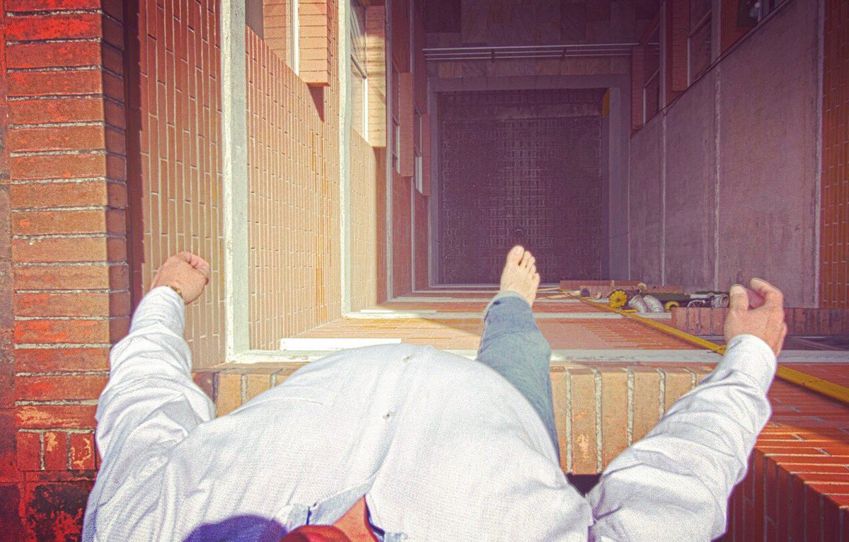 BinsSalva tweet media