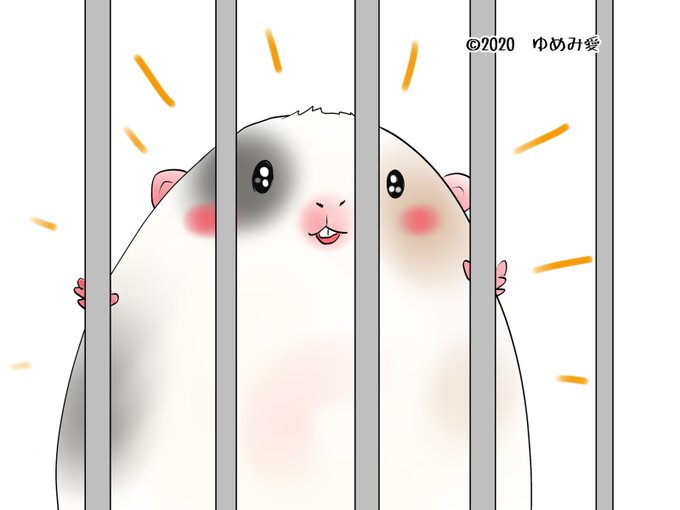 「blush cage」 illustration images(Latest)