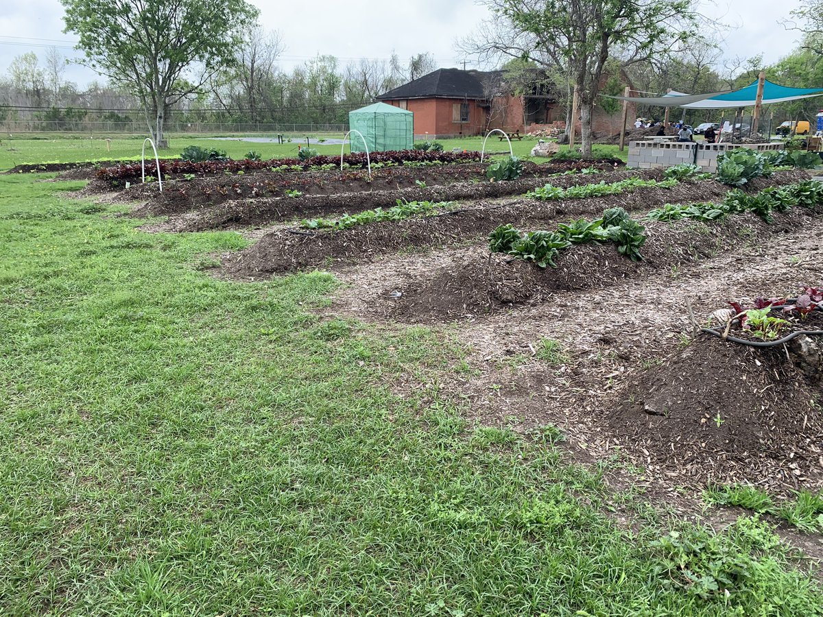 Cheyenne Bastian-Brown tweet media