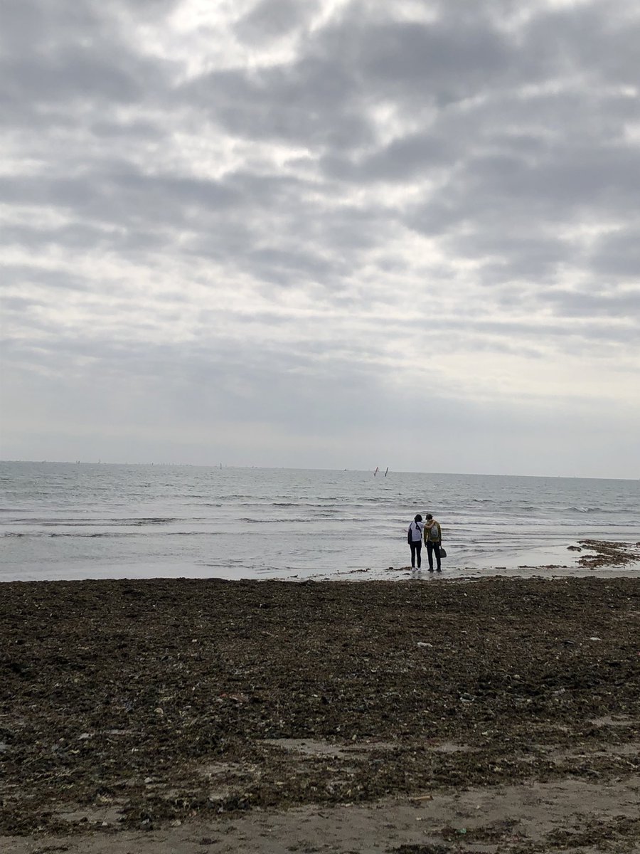 めちゃくちゃ癒される〜😭 https://t.co/CO3TeoUVBu