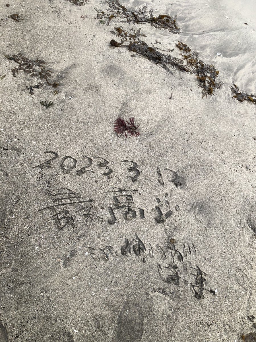 めちゃくちゃ癒される〜😭 https://t.co/CO3TeoUVBu