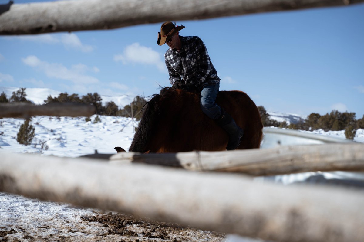 LostHorses's tweet photo. The Story of The Lost Horse Ranch.
For Sheila &amp; Red.
Dedicated to Sheila, the Mustang...and all those like her. https://t.co/LjY50qyqPQ