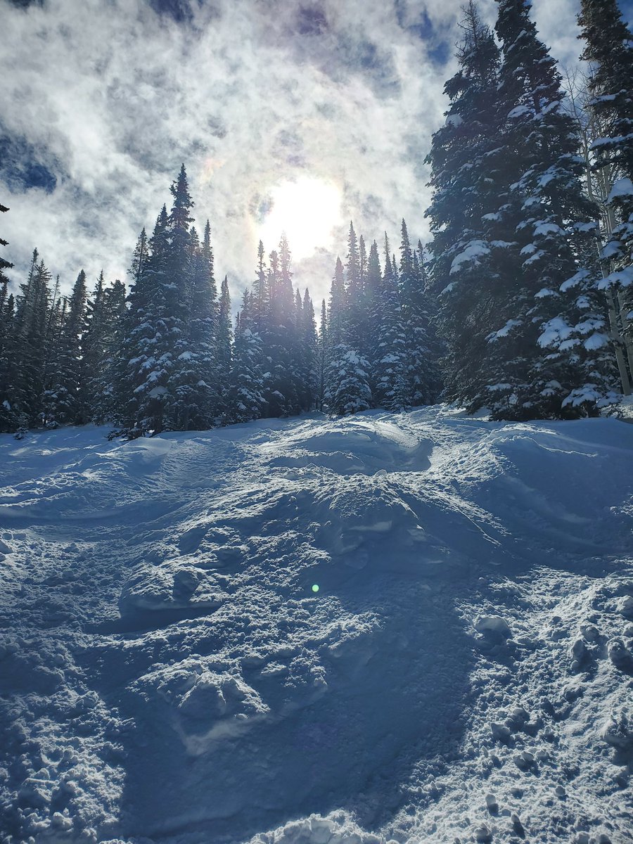 Sunny, steep and fluffy. Just another one of those Steamboat-y Saturdays.
@skisteamboat @IkonPass 
#skivacation #powderday