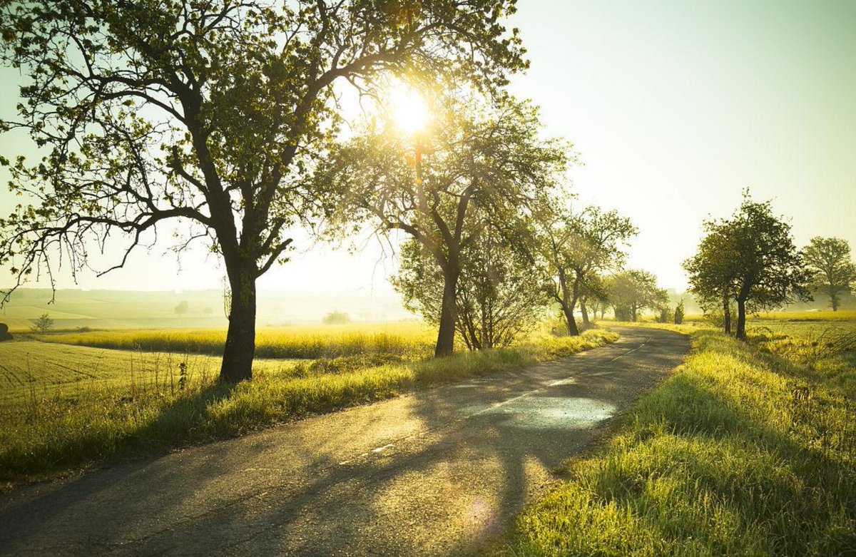 Love me little and love me long.