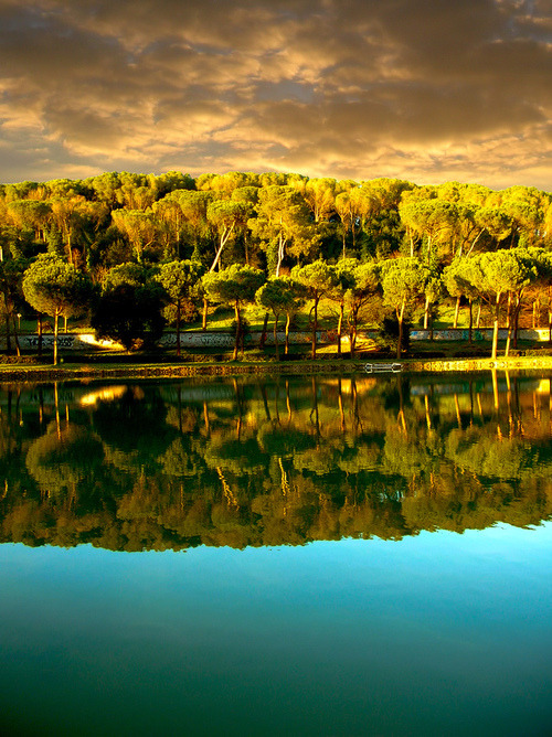 Reflections, Villa Ada, Rome #Reflections #VillaAda #Rome mariabishop.com