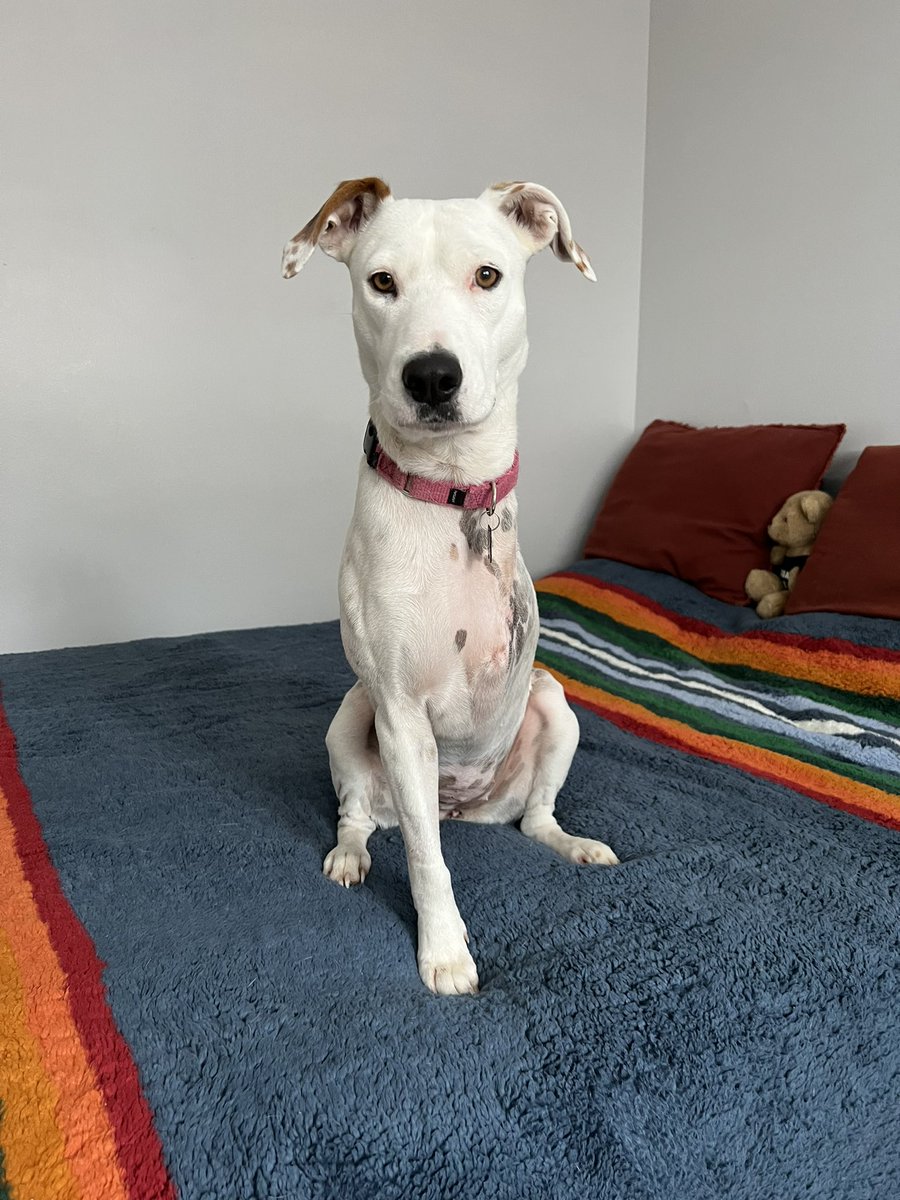 Leanne Gray tweet media