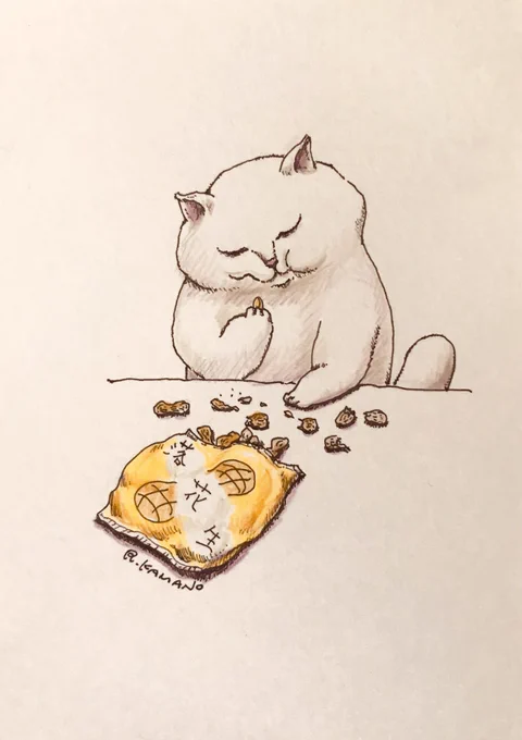 #猫 