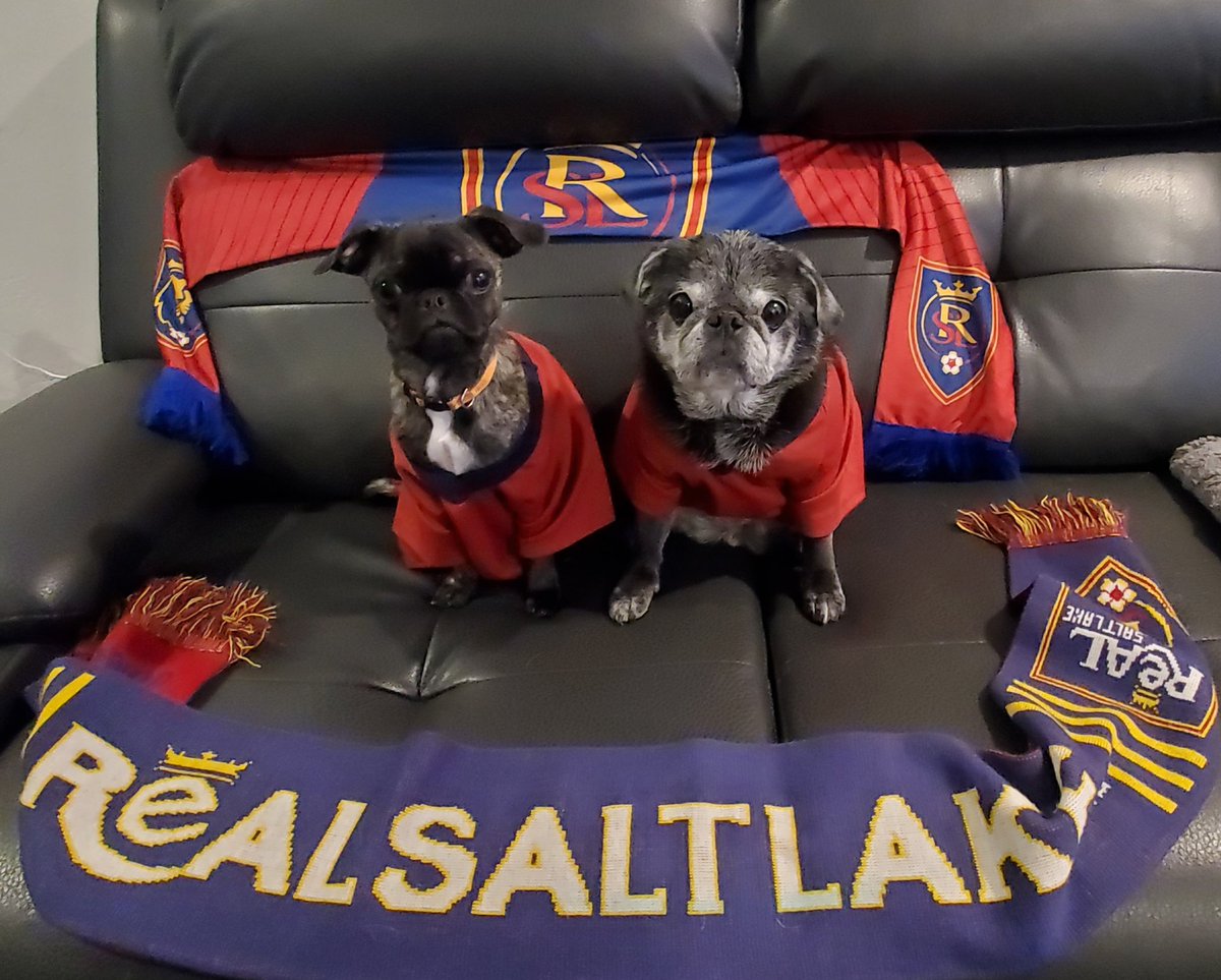 a2pugmom's tweet photo. Freens it's another @realsaltlake Game Day and we are ready to cheer our boys on! Today they are in rainy Seattle taking on the flounders... um, we mean the Sounders. Let's go lads, get in and get 3! #Rsl #Dalereal #SEAvRSL #RealSaltLake #RSLDogs #pugsofutah https://t.co/N27zRHKqWg