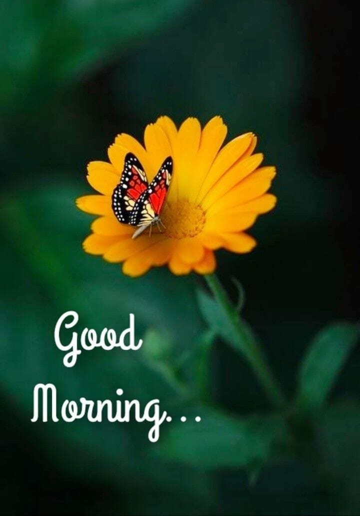 Sukhi (@sukhbirwalia) on Twitter photo प्रशंसा की भूख.....
अयोग्यता की परिचायक है
काबिलियत की तारीफ तो
विरोधियों के भी दिल से निकलती
है !!!...
सुप्रभात, नमस्कार, सत श्री अकाल, खुश रहो स्वस्थ रहो आप का दिन शुभ और मंगलमय हो 💐💐💐
<a href="/AroraRajdeep/">Rajdeep Arora 🇮🇳</a> <a href="/_old_delhi__/">TIMUS</a> <a href="/nsbchd/">Sardar नवदीप ਸਿੰਘ 🇮🇳 हास्य जीवी। #वाहेगुरुजी #ॐ</a> <a href="/Krishna__Bhakt_/">बिजेंद्र सिंह चौधरी 💚मोदी का परिवार❤️🕉️</a> <a href="/JPulasaria/">JP 🇮🇳 (Sanatani)</a> <a href="/vis_s0/">VishaL</a> <a href="/rishi_dr119/">Rishi Dr. (🚩मोदी का परिवार🚩)</a> प्रशंसा की भूख.....
अयोग्यता की परिचायक है
काबिलियत की तारीफ तो
विरोधियों के भी दिल से निकलती
है !!!...
सुप्रभात, नमस्कार, सत श्री अकाल, खुश रहो स्वस्थ रहो आप का दिन शुभ और मंगलमय हो 💐💐💐
<a href="/AroraRajdeep/">Rajdeep Arora 🇮🇳</a> <a href="/_old_delhi__/">TIMUS</a> <a href="/nsbchd/">Sardar नवदीप ਸਿੰਘ 🇮🇳 हास्य जीवी। #वाहेगुरुजी #ॐ</a> <a href="/Krishna__Bhakt_/">बिजेंद्र सिंह चौधरी 💚मोदी का परिवार❤️🕉️</a> <a href="/JPulasaria/">JP 🇮🇳 (Sanatani)</a> <a href="/vis_s0/">VishaL</a> <a href="/rishi_dr119/">Rishi Dr. (🚩मोदी का परिवार🚩)</a>