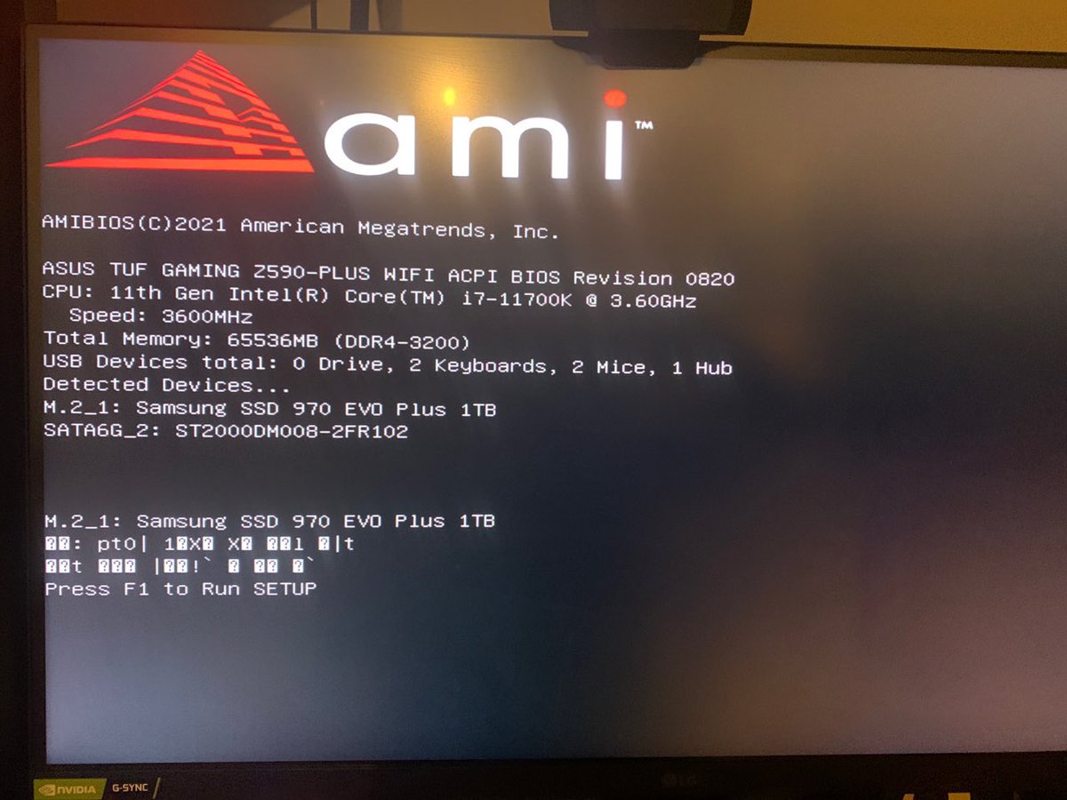 스스디 개복치마냥 돌연사.. 주인장 오열.. 무엇이 저장이 되어있는지 확인불가
