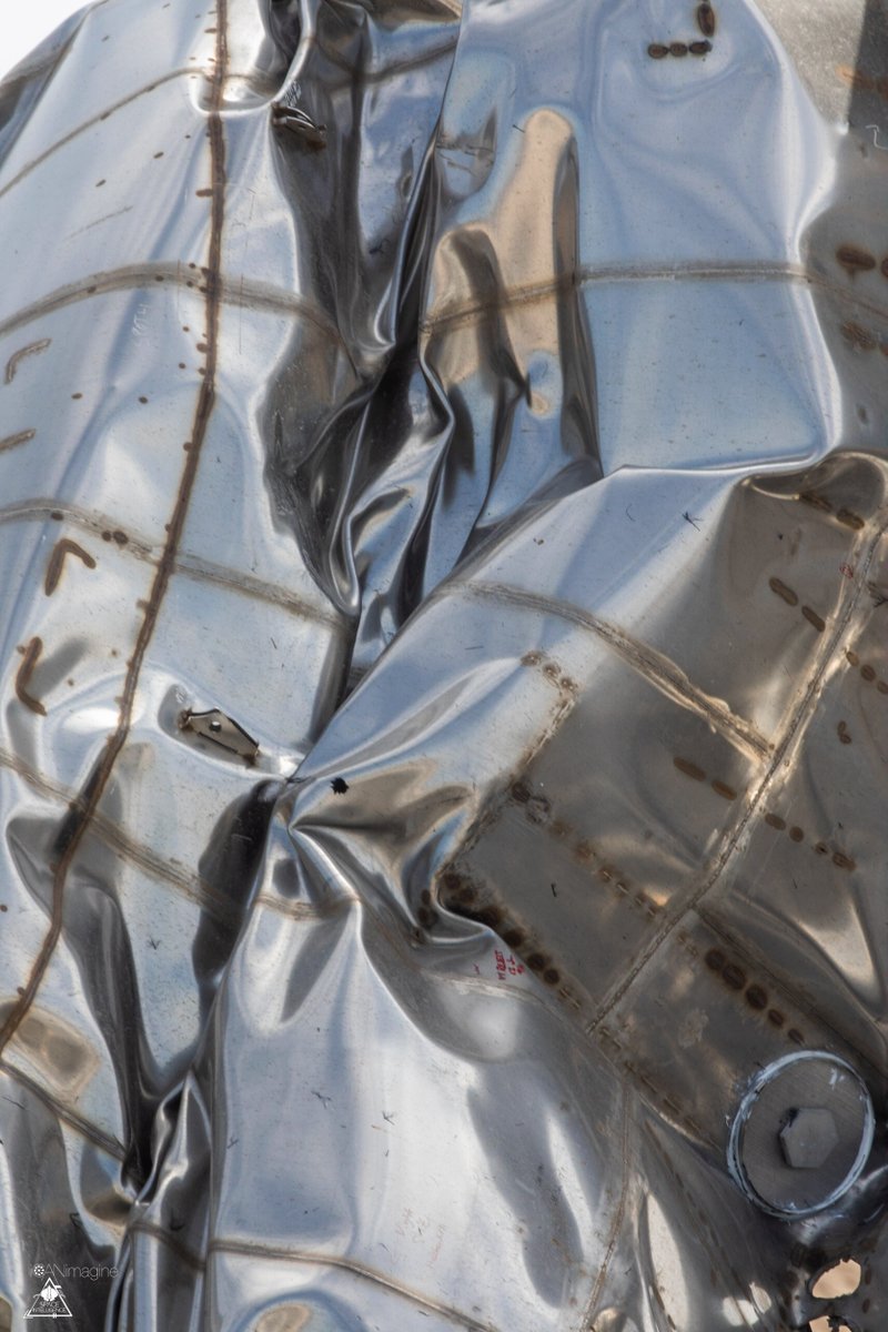 Starbase Surfer tweet media