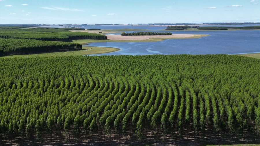 Insustentable: estudio muestra que la expansión agrícola y el cambio de uso del suelo han degradado “inexorablemente” la #pampa <a href="/naturesustainab/">NatureSustainability</a>