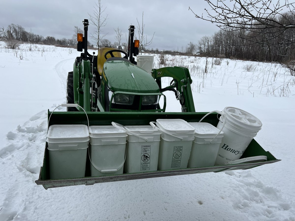 KowalskiFarms's tweet photo. #NYMaple 🍁 season is in high gear! Officially time to put the new #Leader #MiniMicRO to use tomorrow. Collected over 80 gallons today off 46 taps and didn’t even collect the second run of the day! Best start to a season in the past 10 years! #KowalskiandDaughters #Homesteading https://t.co/LJd51ZhWgW