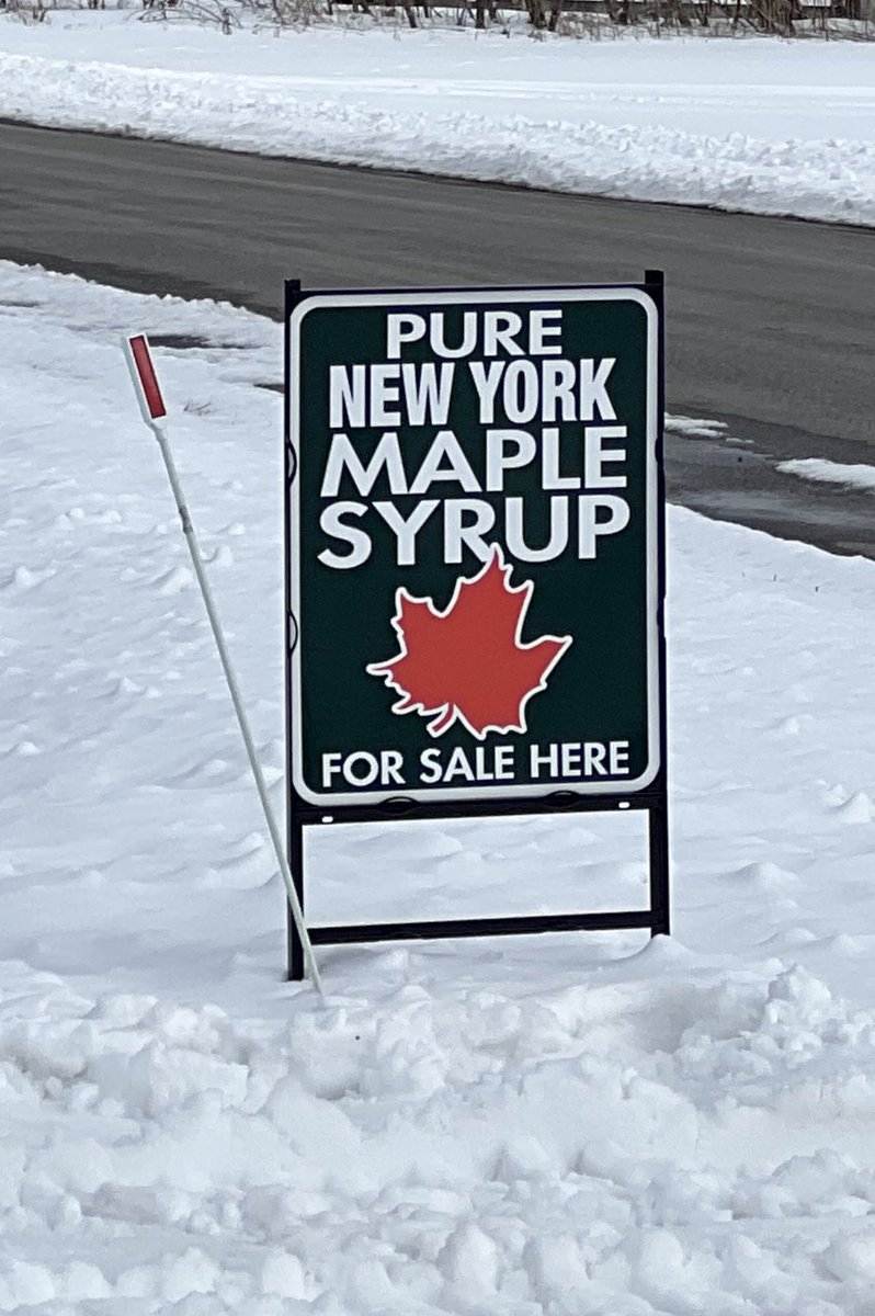 KowalskiFarms's tweet photo. #NYMaple 🍁 season is in high gear! Officially time to put the new #Leader #MiniMicRO to use tomorrow. Collected over 80 gallons today off 46 taps and didn’t even collect the second run of the day! Best start to a season in the past 10 years! #KowalskiandDaughters #Homesteading https://t.co/LJd51ZhWgW