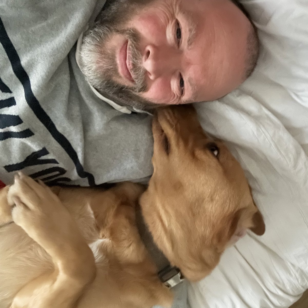 Having a lie down with my boy ! #dogs