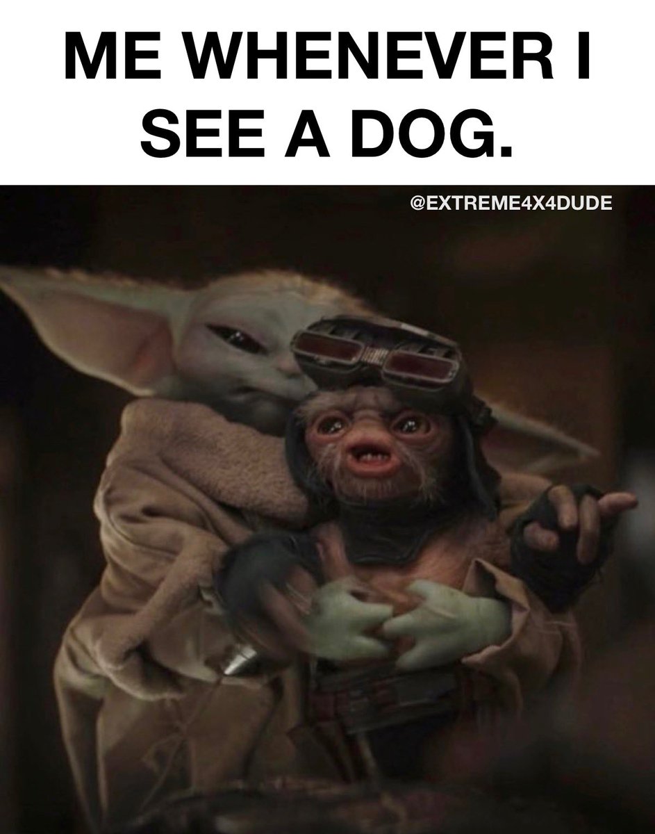 #Meme #themandalorian #grogu #grogumemes
