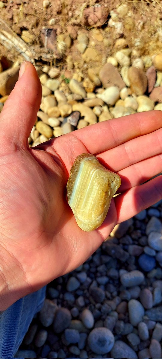 Eyes2TheSky208's tweet image. Really Stunning Oregon Water-Level agate I found 🤩🤩
#Oregon #waterlevelagate